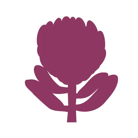 © Warratah Flower - 2 Pair
