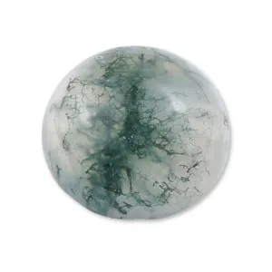 Moss Agate - Round Cabochon