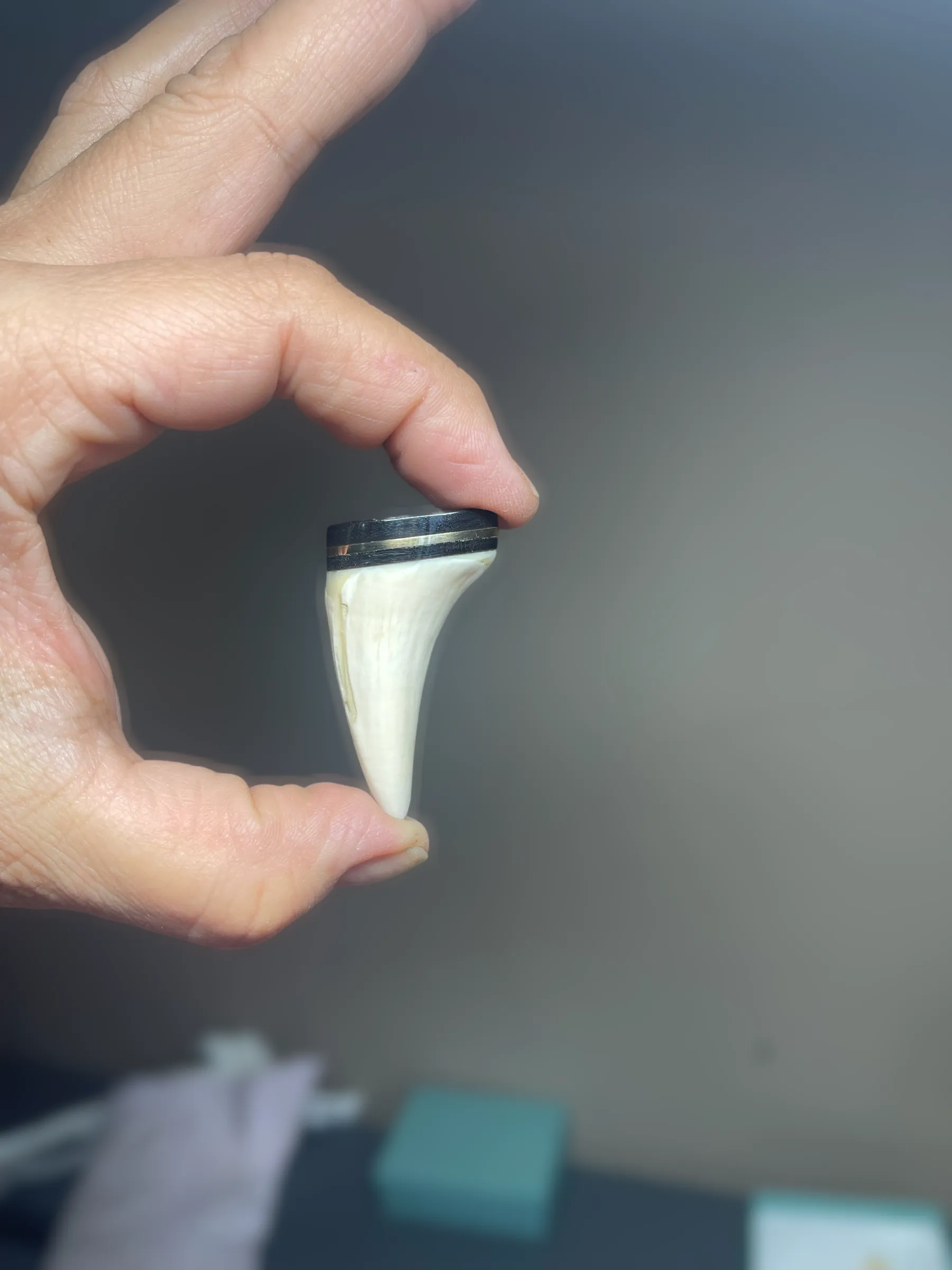 Nanuq/Polar Bear K9 Tooth Lapel Pin