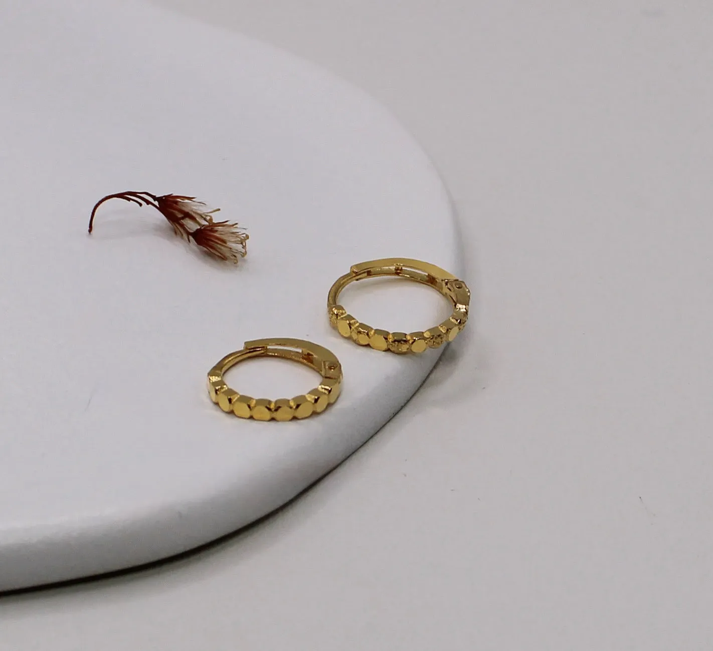 Shiny Thin Hoop