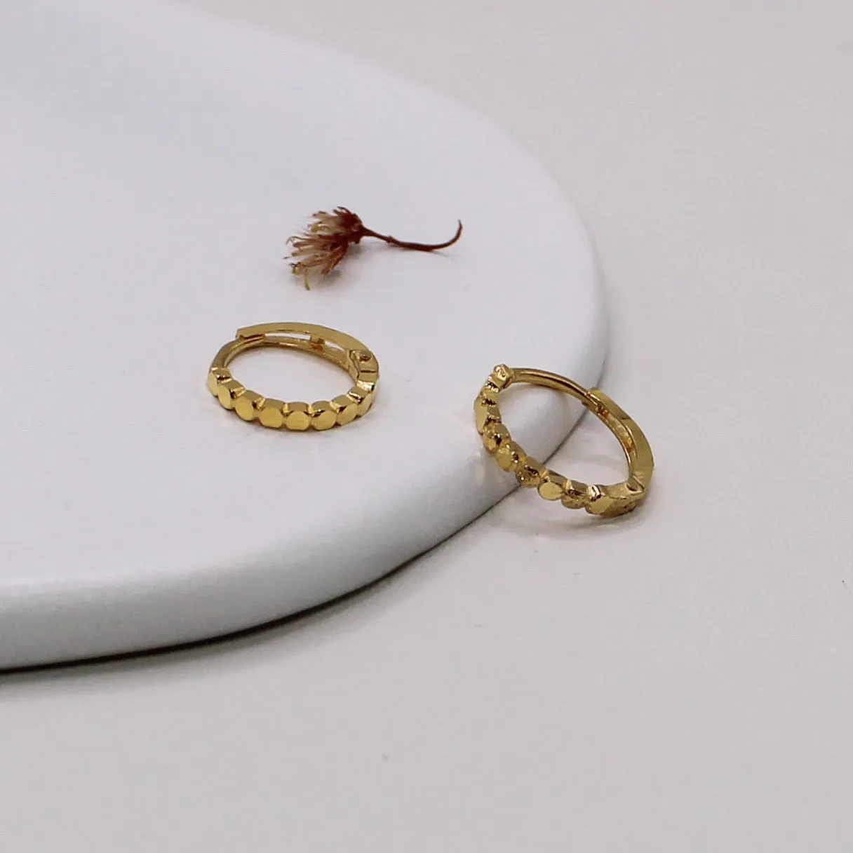 Shiny Thin Hoop