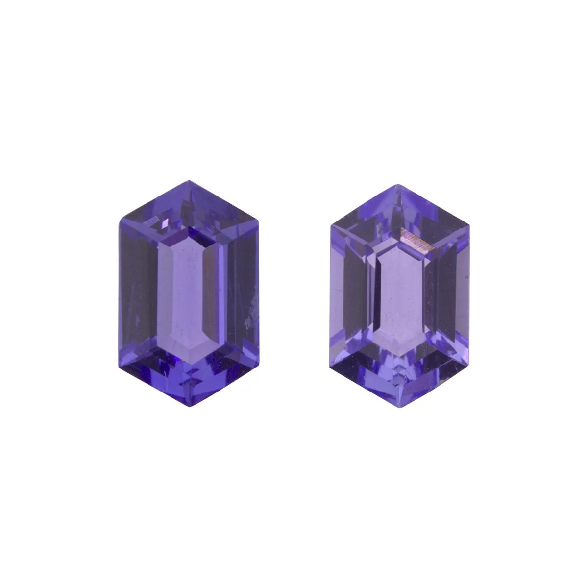 The Sogea Earrings