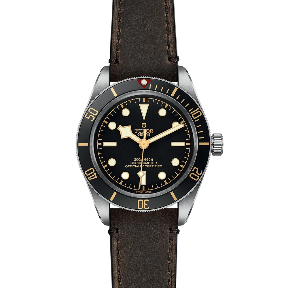 TUDOR Black Bay 58 M79030-0002