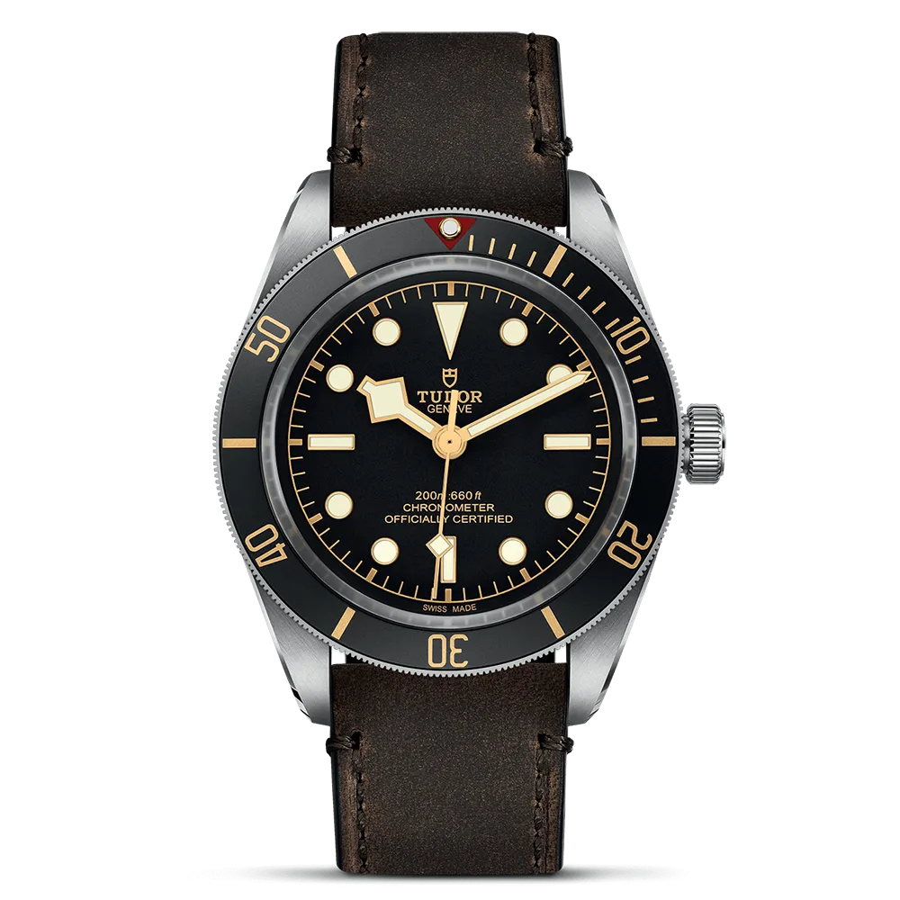 TUDOR Black Bay 58 M79030-0002
