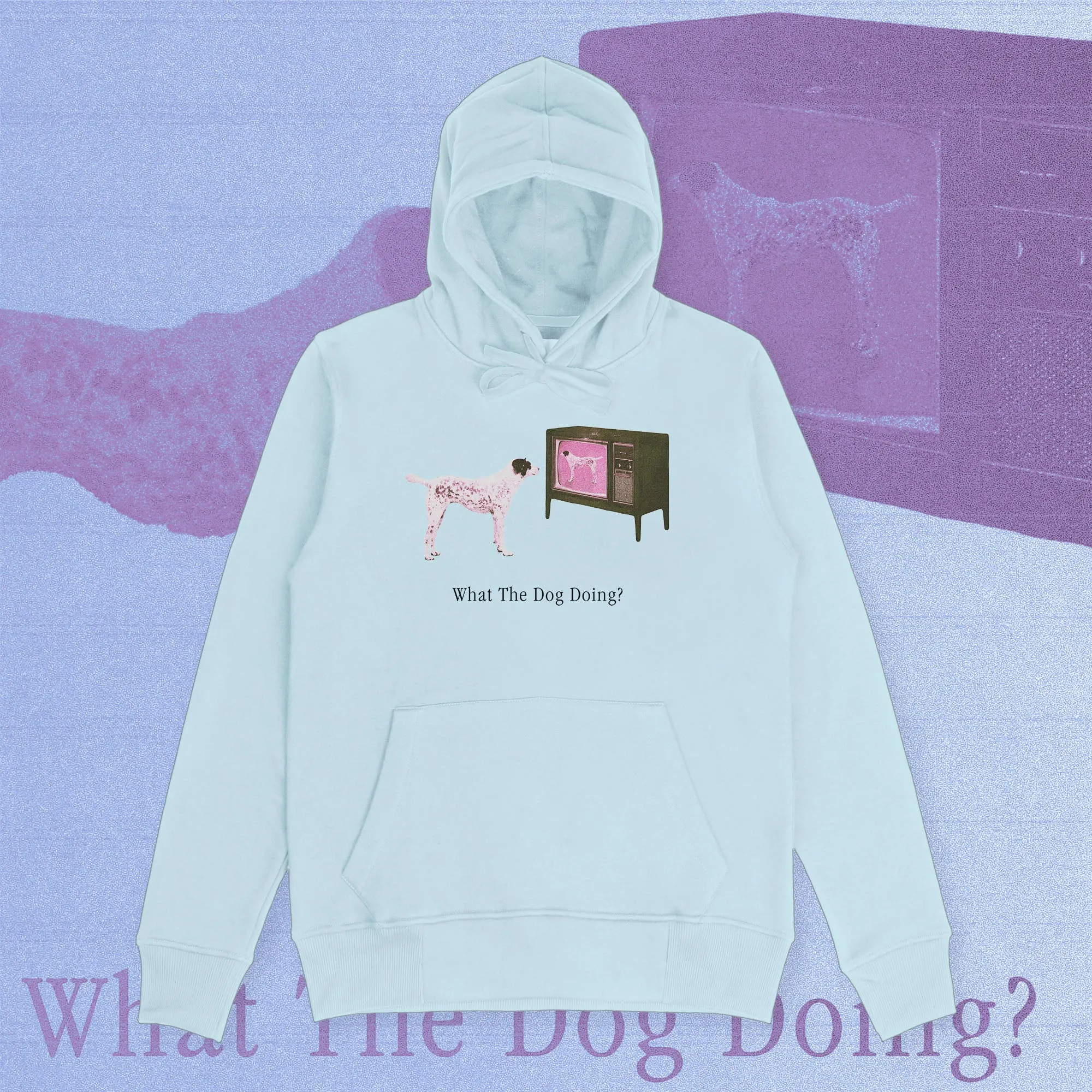 what the dog doin