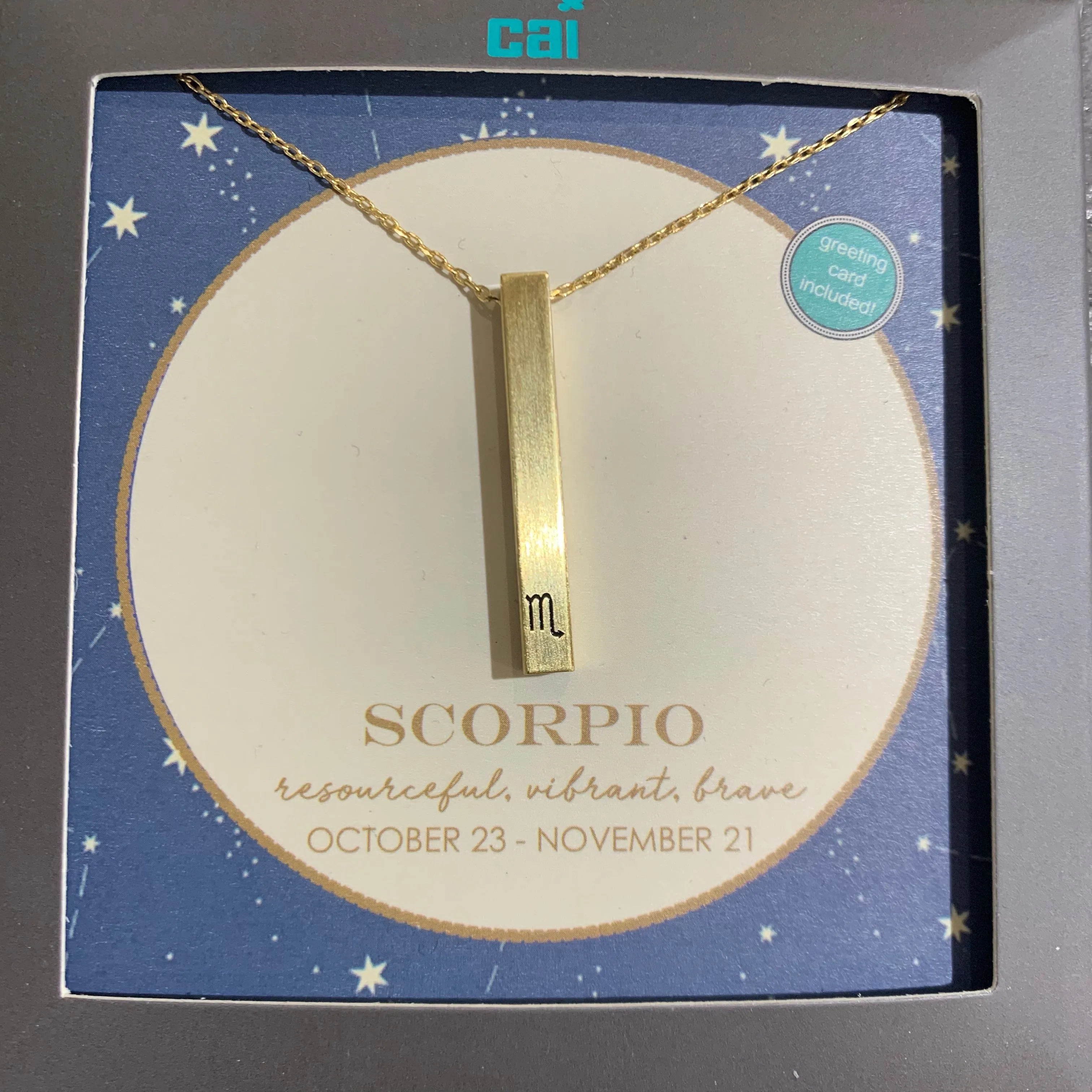 Zodiac Secret Message Necklace