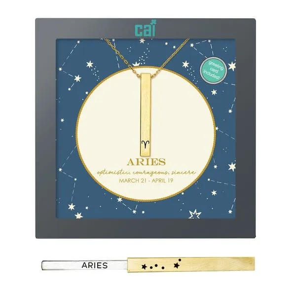 Zodiac Secret Message Necklace