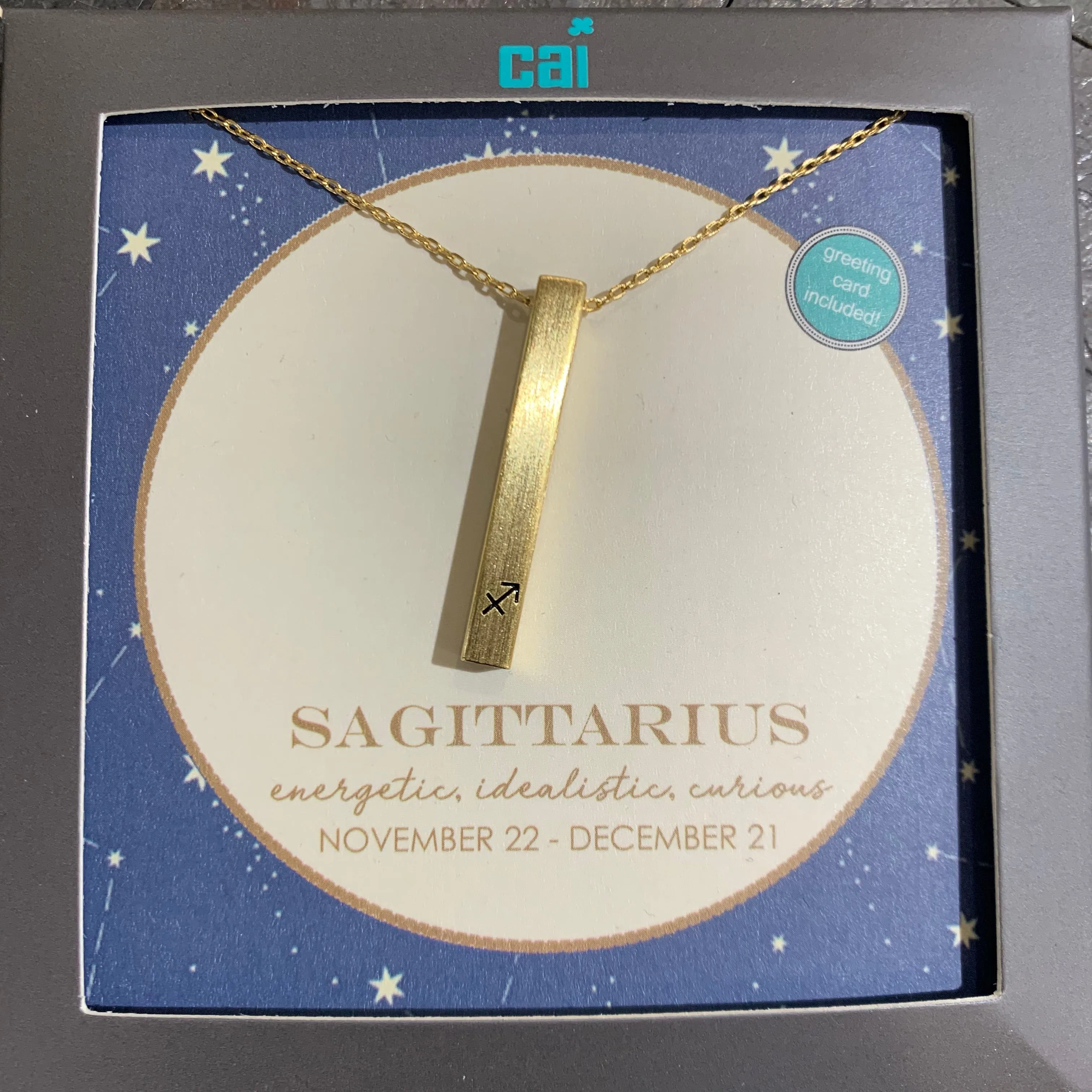 Zodiac Secret Message Necklace